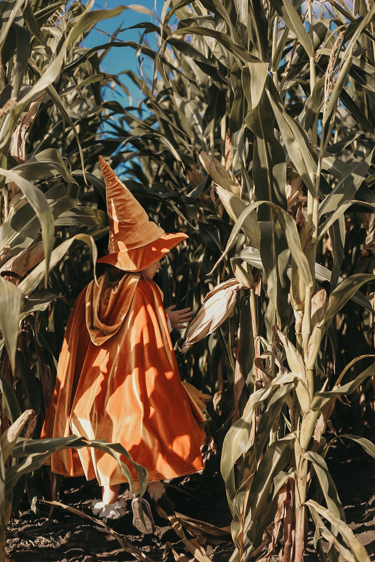"Gold Witch" Magic Hat