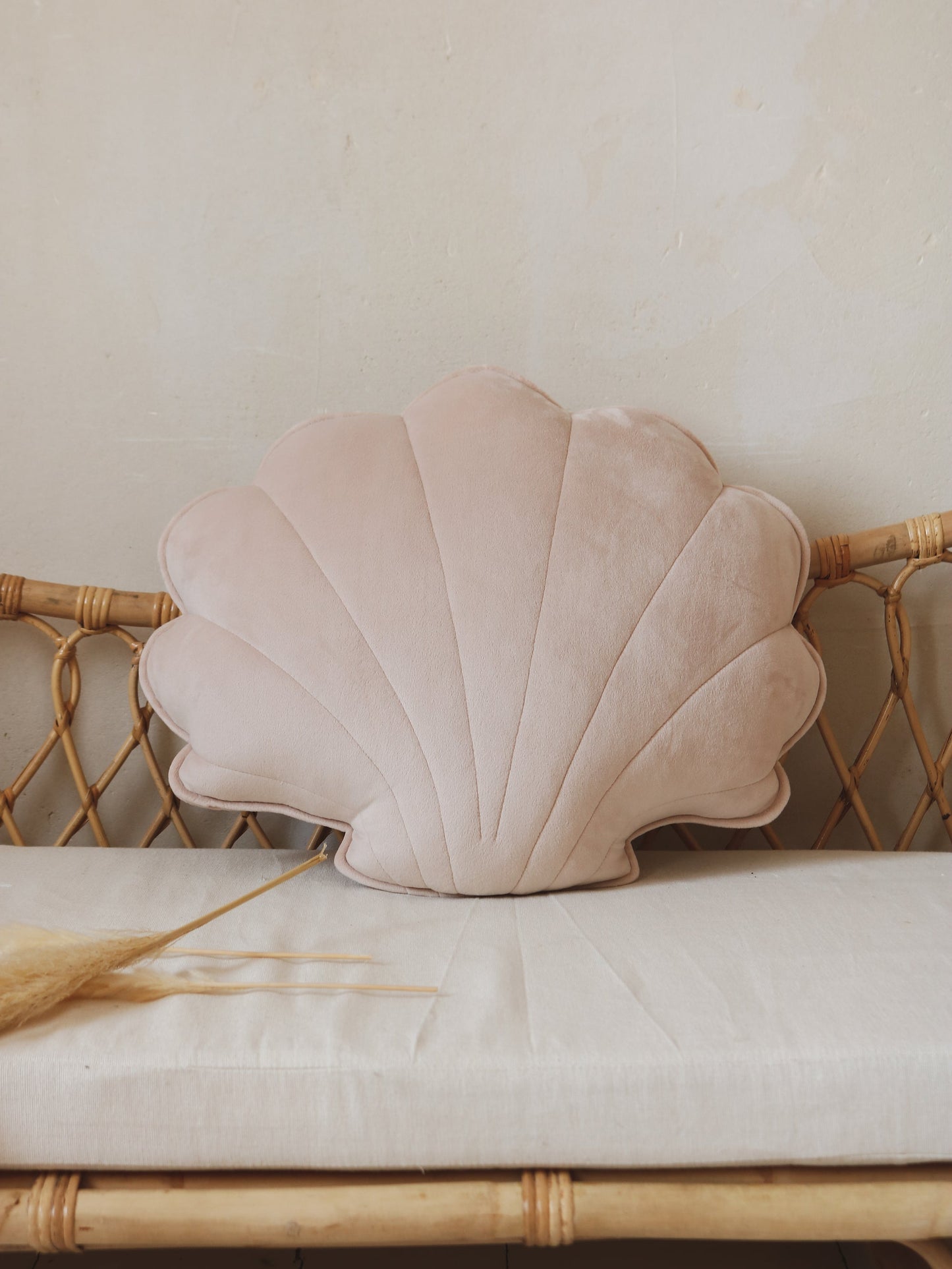 Soft Velvet “Latte” Shell Pillow